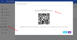 как-поплнить-счет-в-falcocoin-и-как-оплатить-ico