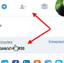 как узнать свой ID в redex
