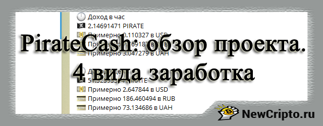 piratecash-обзор-проекта-4-вида-дохода
