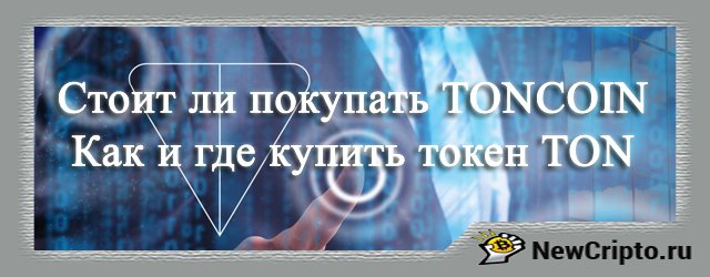 как и где купить toncoin